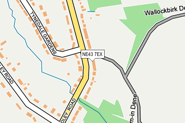 NE43 7EX map - OS OpenMap – Local (Ordnance Survey)
