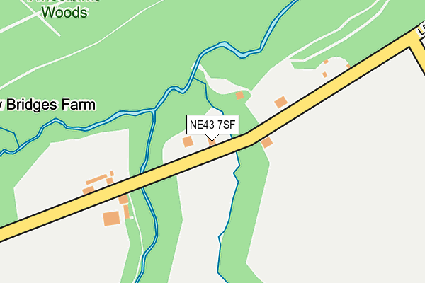 NE43 7SF map - OS OpenMap – Local (Ordnance Survey)