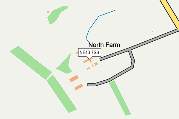 NE43 7SS map - OS OpenMap – Local (Ordnance Survey)