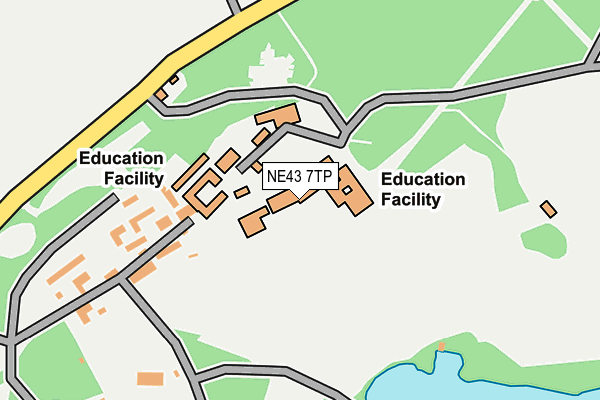 NE43 7TP map - OS OpenMap – Local (Ordnance Survey)