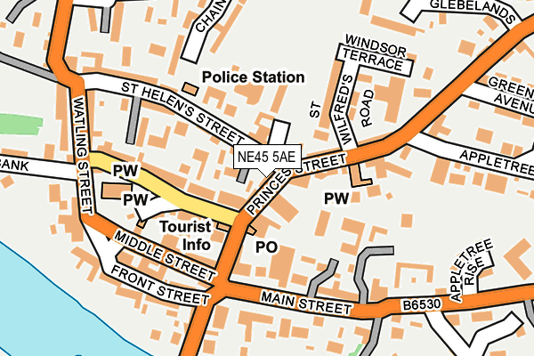 NE45 5AE map - OS OpenMap – Local (Ordnance Survey)