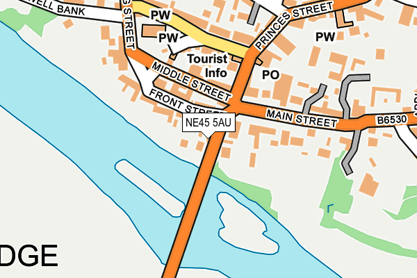 NE45 5AU map - OS OpenMap – Local (Ordnance Survey)