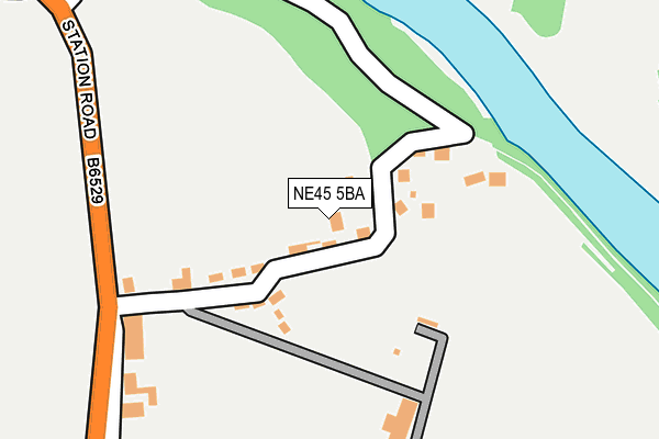 NE45 5BA map - OS OpenMap – Local (Ordnance Survey)