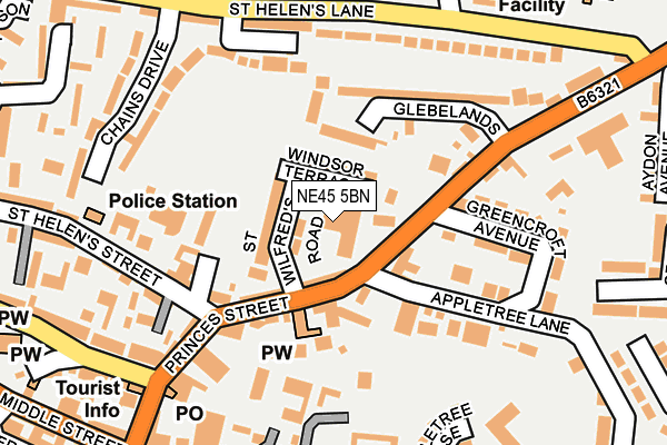 NE45 5BN map - OS OpenMap – Local (Ordnance Survey)