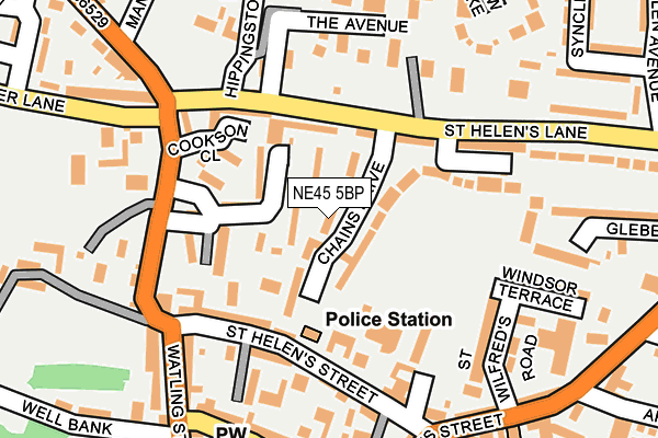 NE45 5BP map - OS OpenMap – Local (Ordnance Survey)