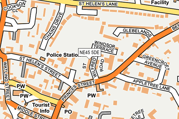 NE45 5DE map - OS OpenMap – Local (Ordnance Survey)