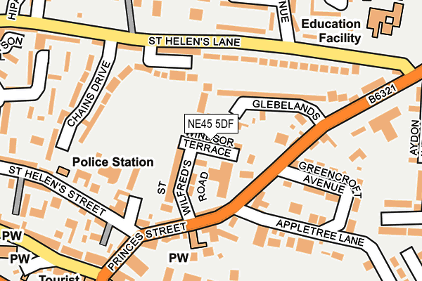 NE45 5DF map - OS OpenMap – Local (Ordnance Survey)