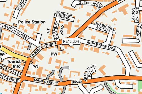 NE45 5DH map - OS OpenMap – Local (Ordnance Survey)