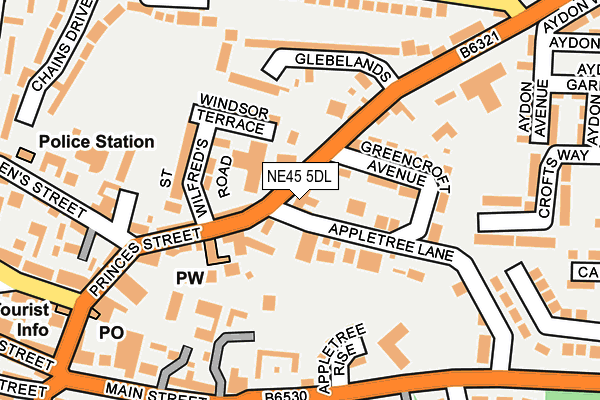 NE45 5DL map - OS OpenMap – Local (Ordnance Survey)