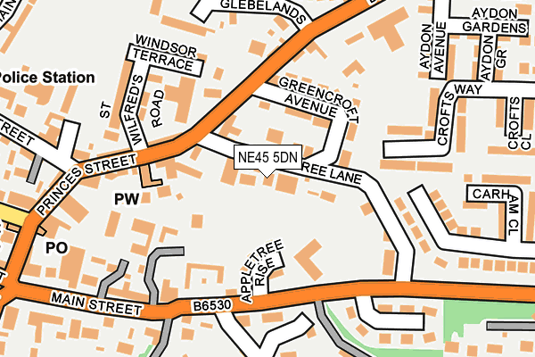 NE45 5DN map - OS OpenMap – Local (Ordnance Survey)