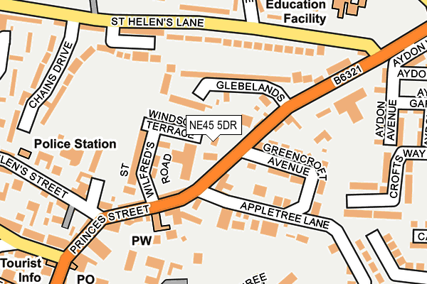 NE45 5DR map - OS OpenMap – Local (Ordnance Survey)