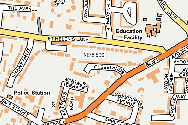 NE45 5DS map - OS OpenMap – Local (Ordnance Survey)