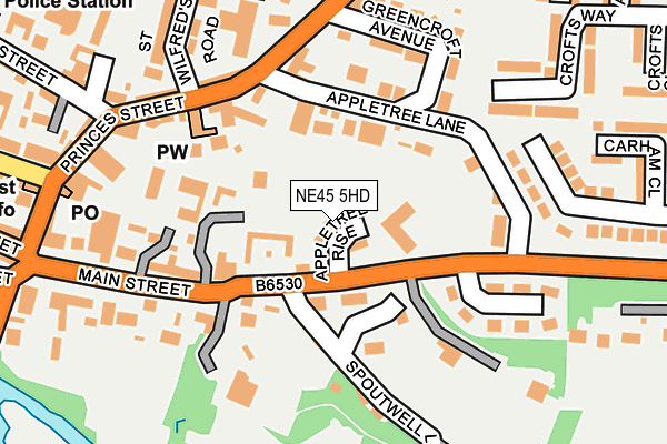 NE45 5HD map - OS OpenMap – Local (Ordnance Survey)