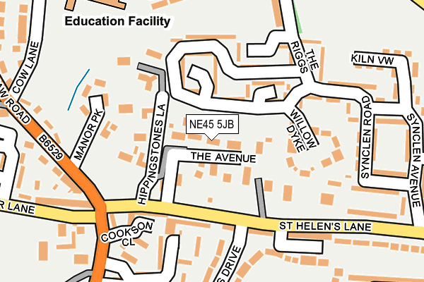 NE45 5JB map - OS OpenMap – Local (Ordnance Survey)