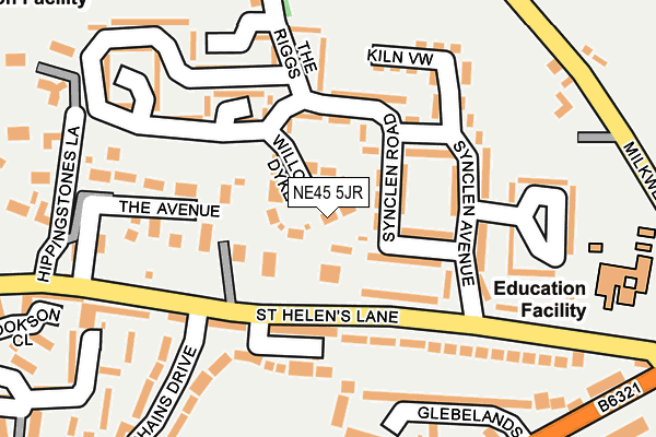 NE45 5JR map - OS OpenMap – Local (Ordnance Survey)