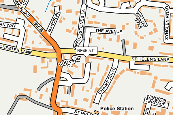 NE45 5JT map - OS OpenMap – Local (Ordnance Survey)