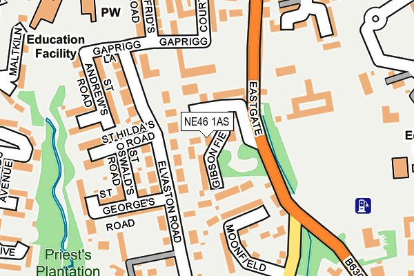 NE46 1AS map - OS OpenMap – Local (Ordnance Survey)