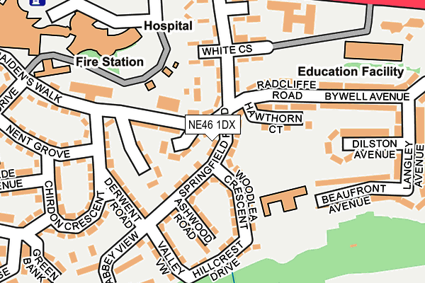 NE46 1DX map - OS OpenMap – Local (Ordnance Survey)