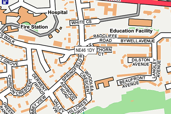 NE46 1DY map - OS OpenMap – Local (Ordnance Survey)