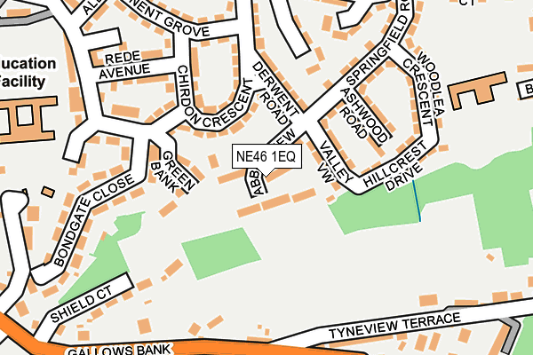 NE46 1EQ map - OS OpenMap – Local (Ordnance Survey)