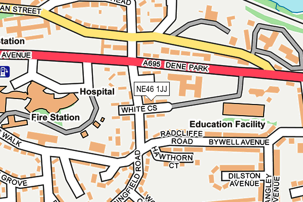 NE46 1JJ map - OS OpenMap – Local (Ordnance Survey)