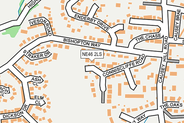 NE46 2LS map - OS OpenMap – Local (Ordnance Survey)