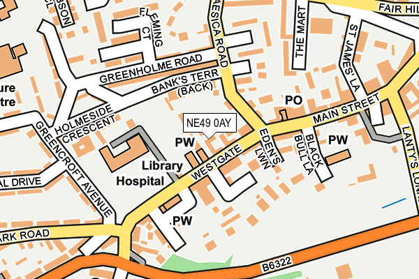 NE49 0AY map - OS OpenMap – Local (Ordnance Survey)