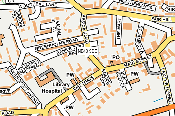 NE49 9DE map - OS OpenMap – Local (Ordnance Survey)