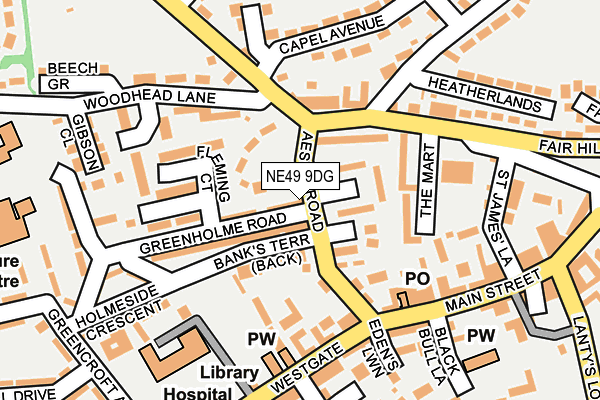 NE49 9DG map - OS OpenMap – Local (Ordnance Survey)
