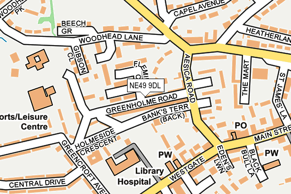 NE49 9DL map - OS OpenMap – Local (Ordnance Survey)