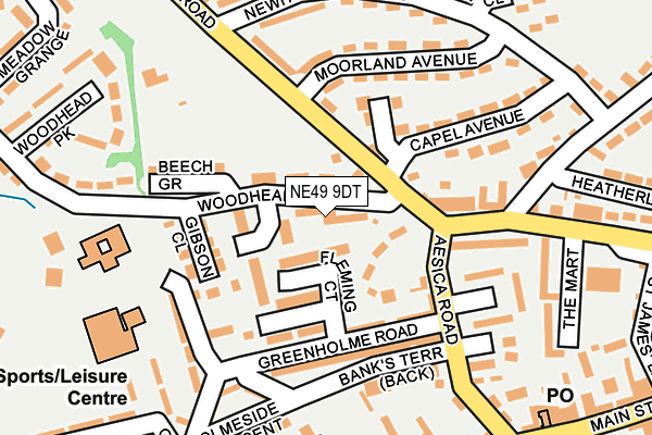 NE49 9DT map - OS OpenMap – Local (Ordnance Survey)