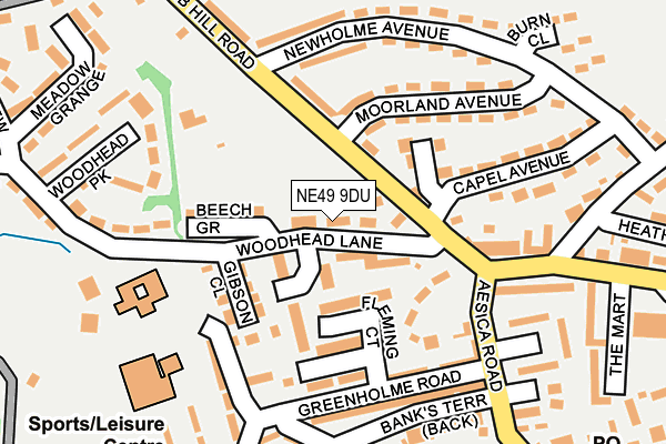 NE49 9DU map - OS OpenMap – Local (Ordnance Survey)