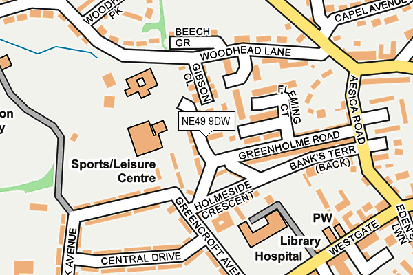 NE49 9DW map - OS OpenMap – Local (Ordnance Survey)