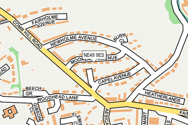 NE49 9ES map - OS OpenMap – Local (Ordnance Survey)