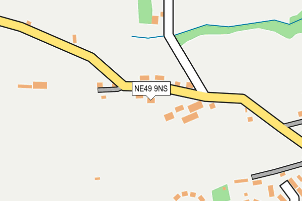 NE49 9NS map - OS OpenMap – Local (Ordnance Survey)