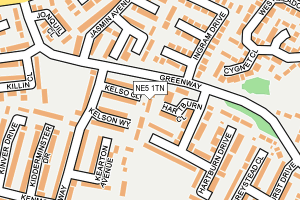 NE5 1TN map - OS OpenMap – Local (Ordnance Survey)