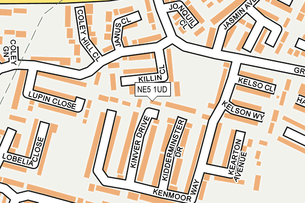 NE5 1UD map - OS OpenMap – Local (Ordnance Survey)