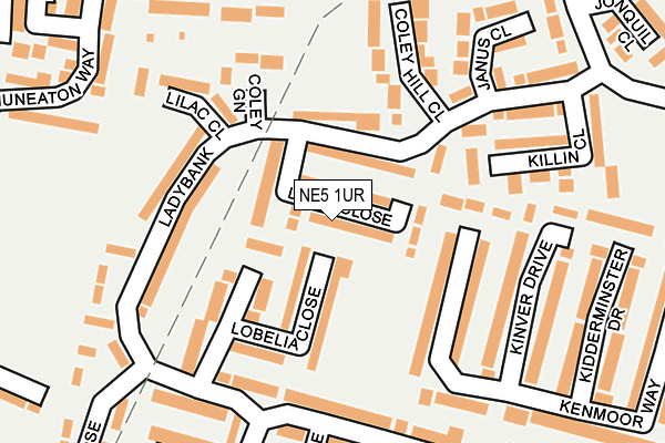 NE5 1UR map - OS OpenMap – Local (Ordnance Survey)