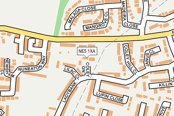 NE5 1XA map - OS OpenMap – Local (Ordnance Survey)