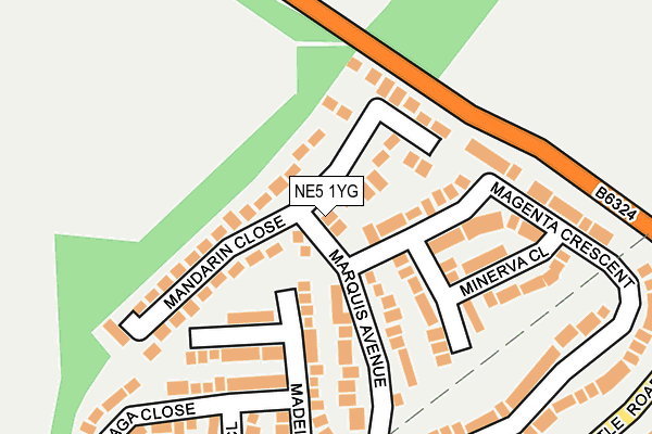 NE5 1YG map - OS OpenMap – Local (Ordnance Survey)
