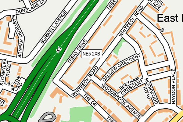 NE5 2XB map - OS OpenMap – Local (Ordnance Survey)