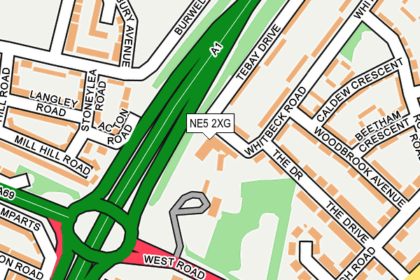 NE5 2XG map - OS OpenMap – Local (Ordnance Survey)
