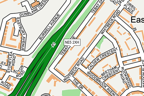 NE5 2XH map - OS OpenMap – Local (Ordnance Survey)