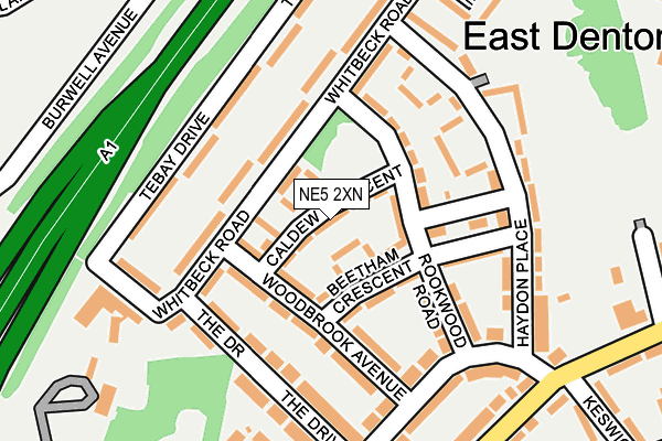 NE5 2XN map - OS OpenMap – Local (Ordnance Survey)