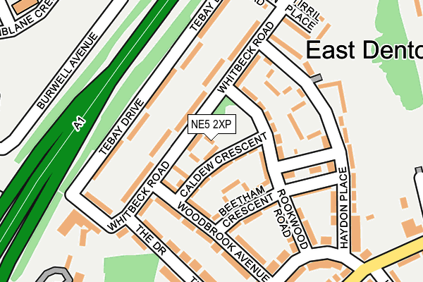 NE5 2XP map - OS OpenMap – Local (Ordnance Survey)