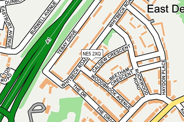 NE5 2XQ map - OS OpenMap – Local (Ordnance Survey)