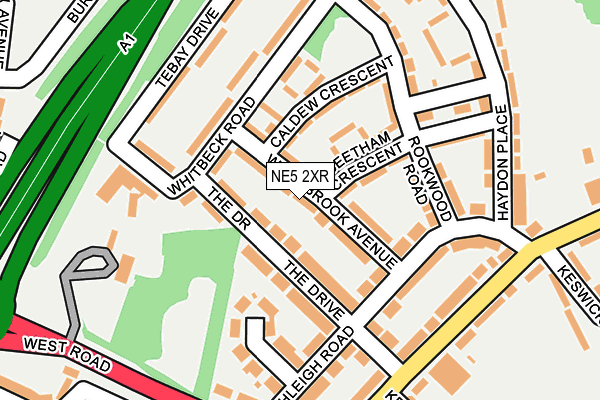 NE5 2XR map - OS OpenMap – Local (Ordnance Survey)