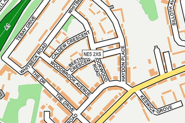 NE5 2XS map - OS OpenMap – Local (Ordnance Survey)