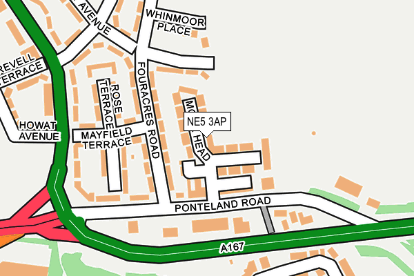 NE5 3AP map - OS OpenMap – Local (Ordnance Survey)