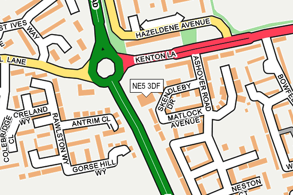 NE5 3DF map - OS OpenMap – Local (Ordnance Survey)